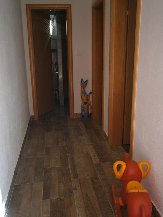 Apartman Boki 特雷比涅 外观 照片